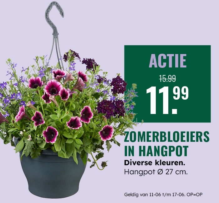 Weekaanbieding: Zomerbloeiers in hangpot
